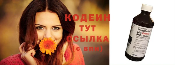 ГАЛЛЮЦИНОГЕННЫЕ ГРИБЫ Лагань