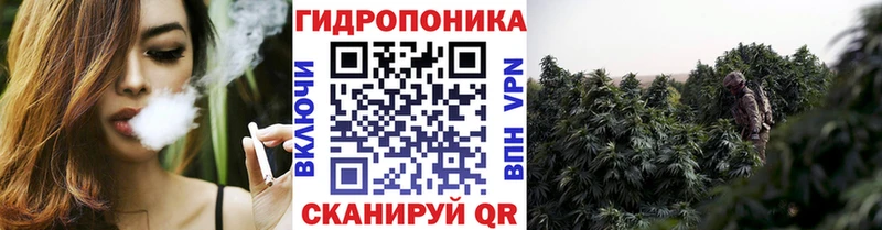 Купить где  Саранск  Шишки марихуана THC 21% 